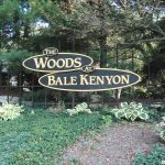 The Woods at Bale Kenyon